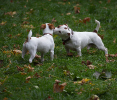 Романтика и нежность, никуда не уходят из нашей жизни