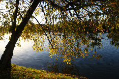 Осень 2016. Новодевичьи пруды