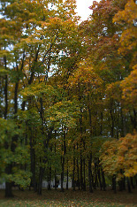 Московская осень